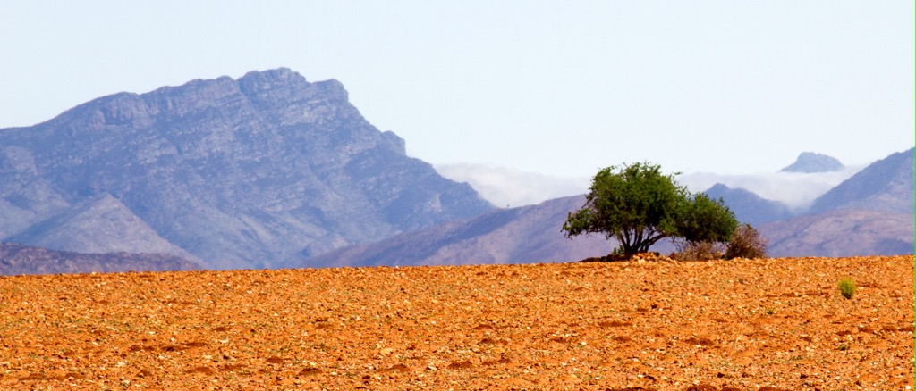Little Karoo, Outeniqua Mountains, South Africa