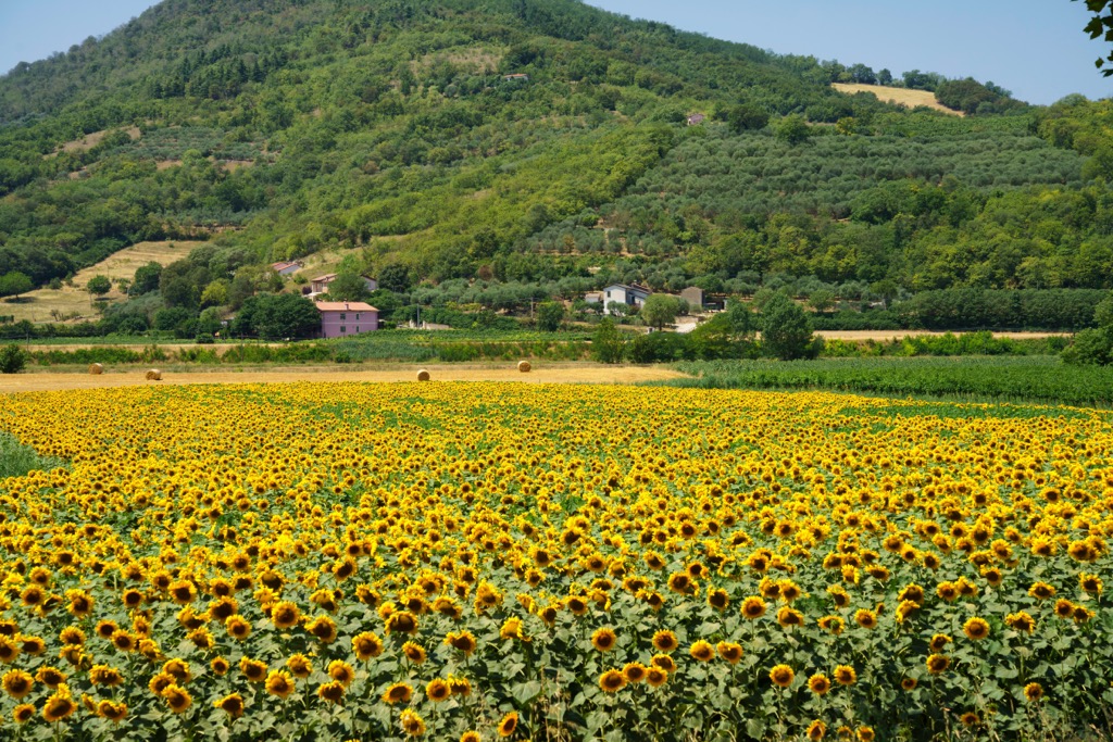 Colli Euganei, Padova, Italy