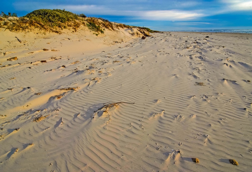 Padre Island National Seashore. Padre Island Seashore