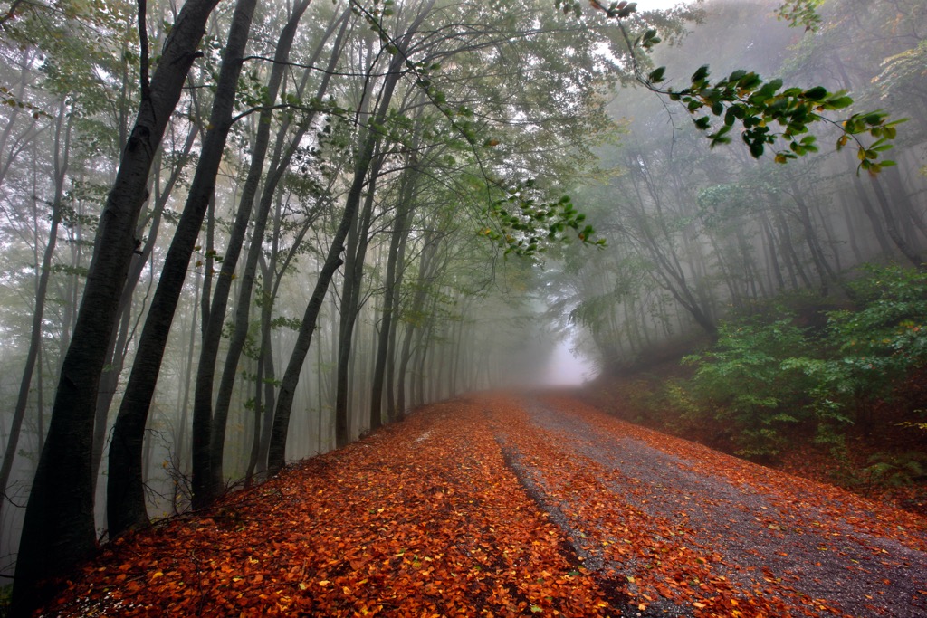 Mountain roads on the Pangaion Massif. Pangaion Hills