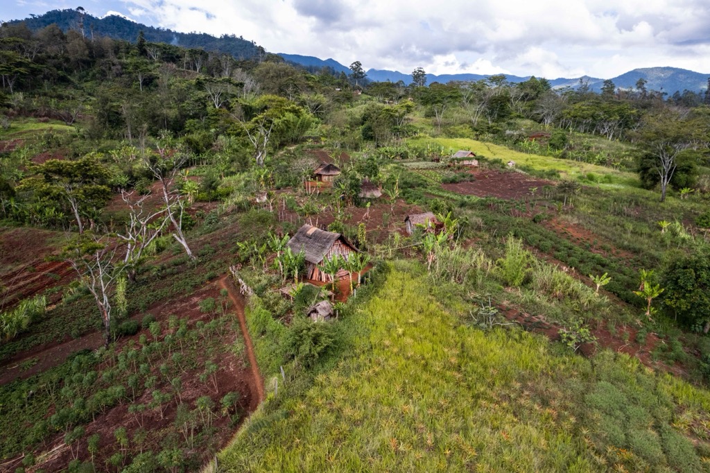 Bucolic villages surrounded by lush rainforest characterize the Goroka Region. Papua New Guinea
