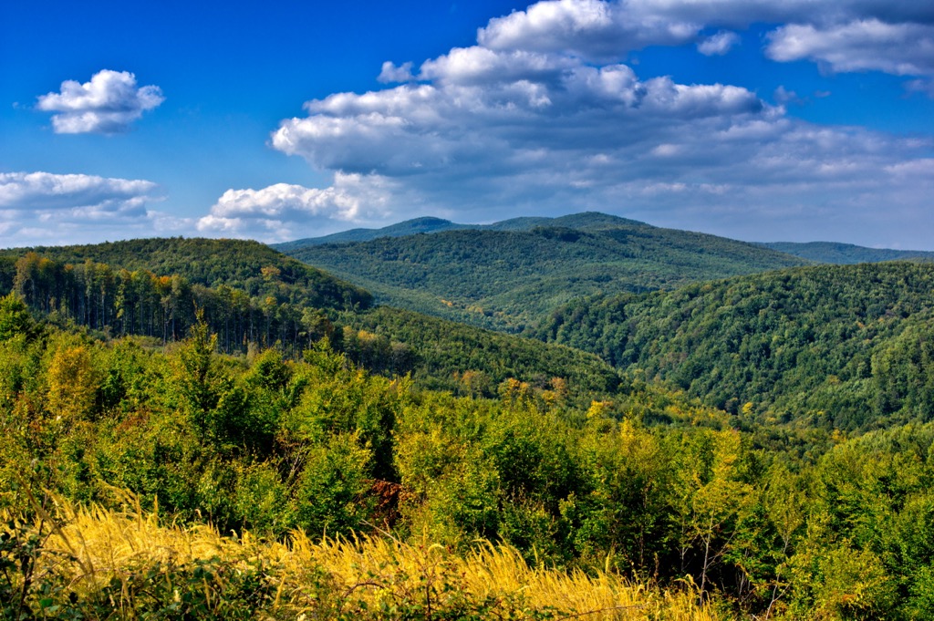 Papuk Nature Park, Croatia