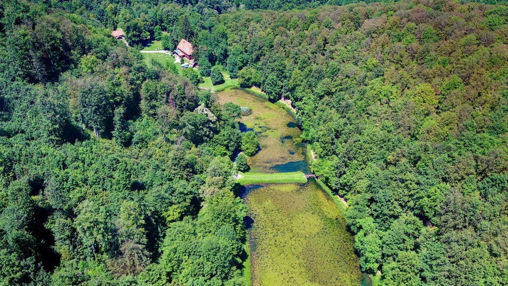 Papuk Nature Park, Croatia