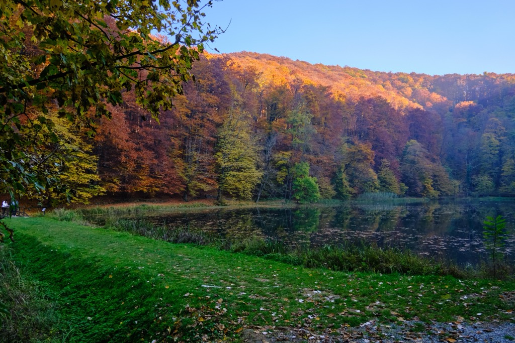Papuk Nature Park, Croatia