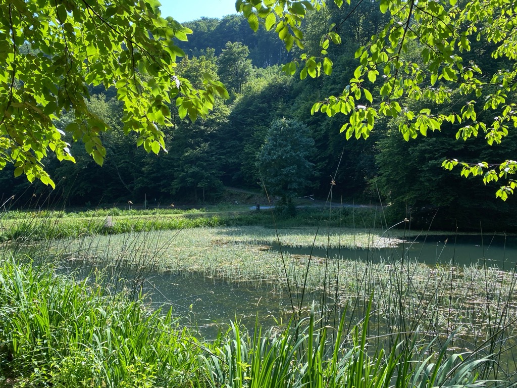 Papuk Nature Park, Croatia