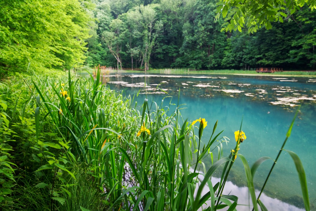 Papuk Nature Park, Croatia