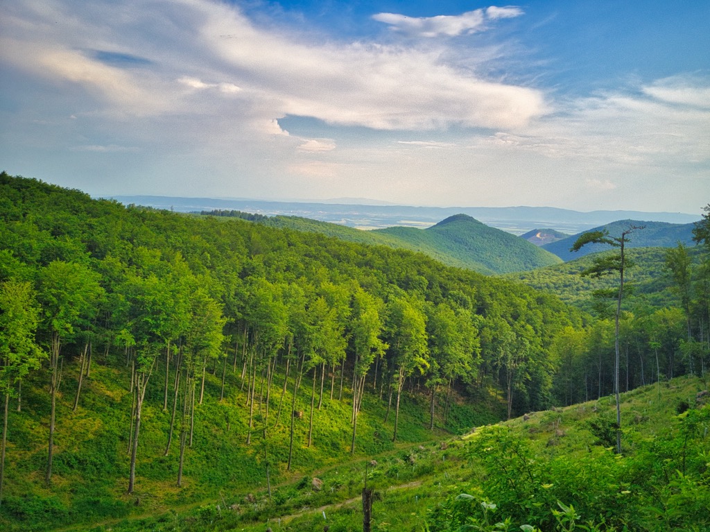 Papuk Nature Park, Croatia