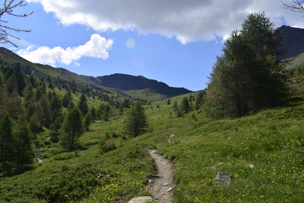 Climbing toward the Col du Longet. Photo: Sergei Poljak. Parc Naturel Regional