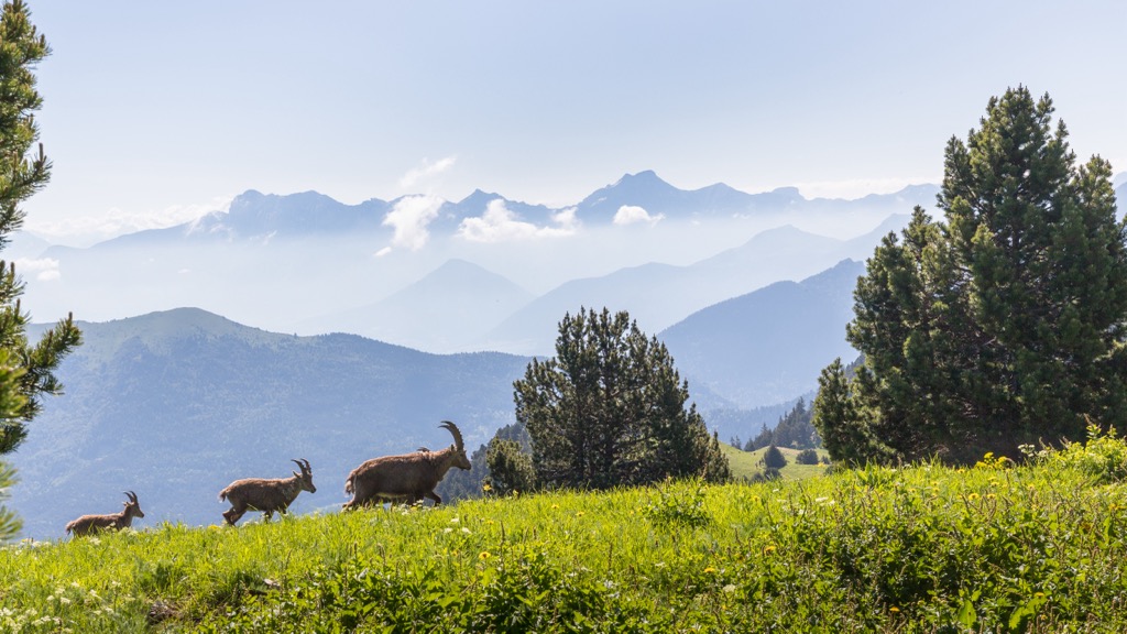 Parc Naturel Régional du Vercors, France