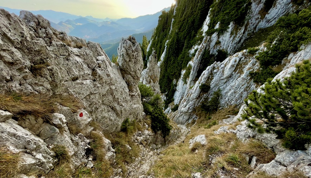 Limestone spires, Piatra Craiului massif. Carpathians