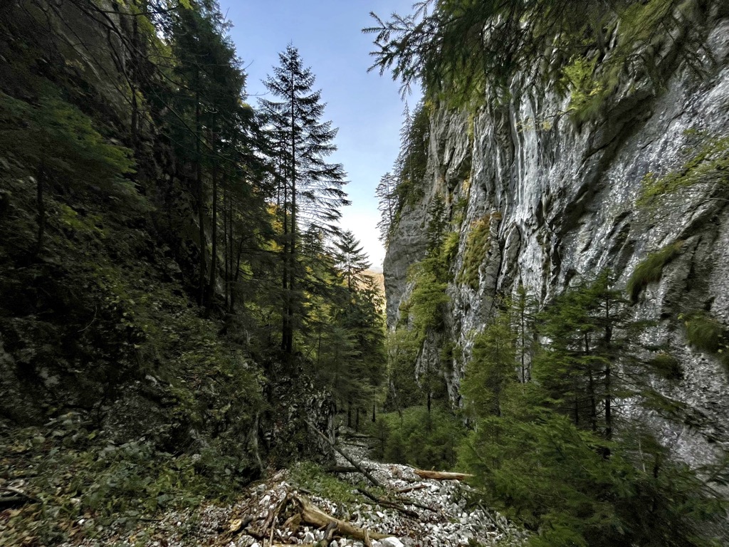 Zărnești Gorges, Piatra Craiului massif. Carpathians