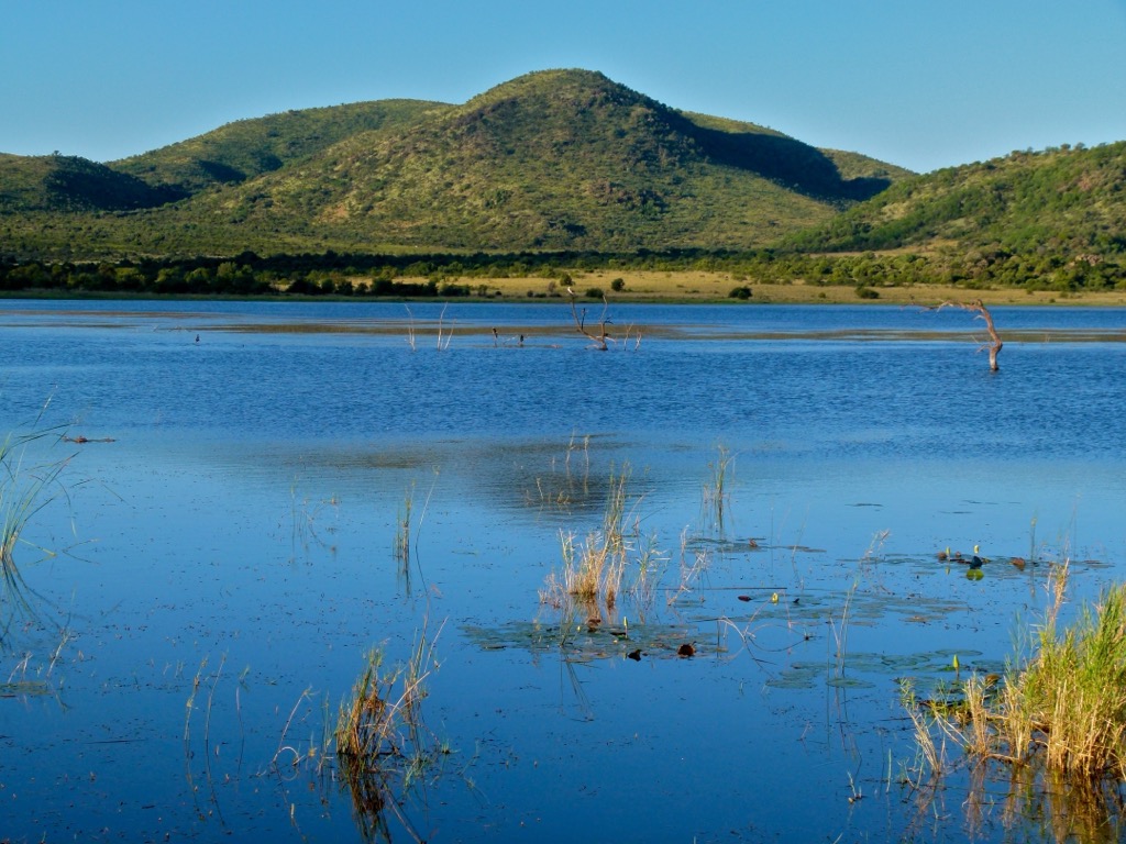The Mankwe Dam at Pilanesberg. Pilanesberg National Park