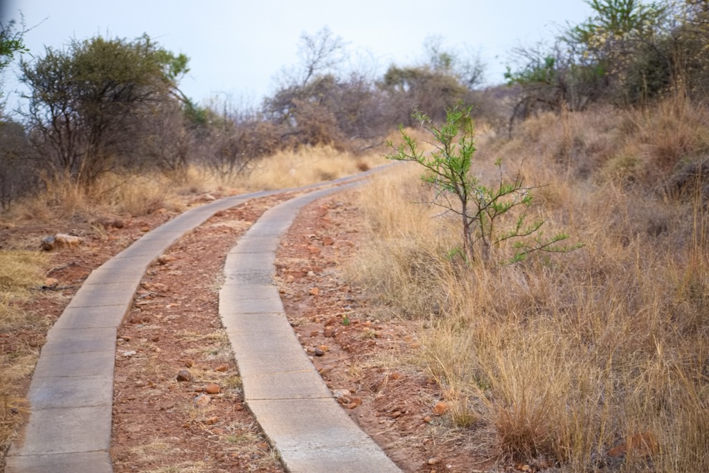 Doubletracks and dirt roads crisscross the park to facilitate game drives. Pilanesberg National Park