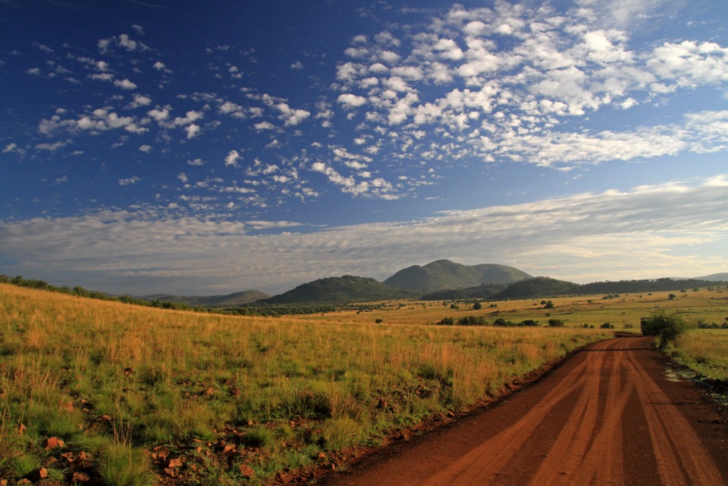 Pilanesberg National Park, South Africa. Pilanesberg National Park
