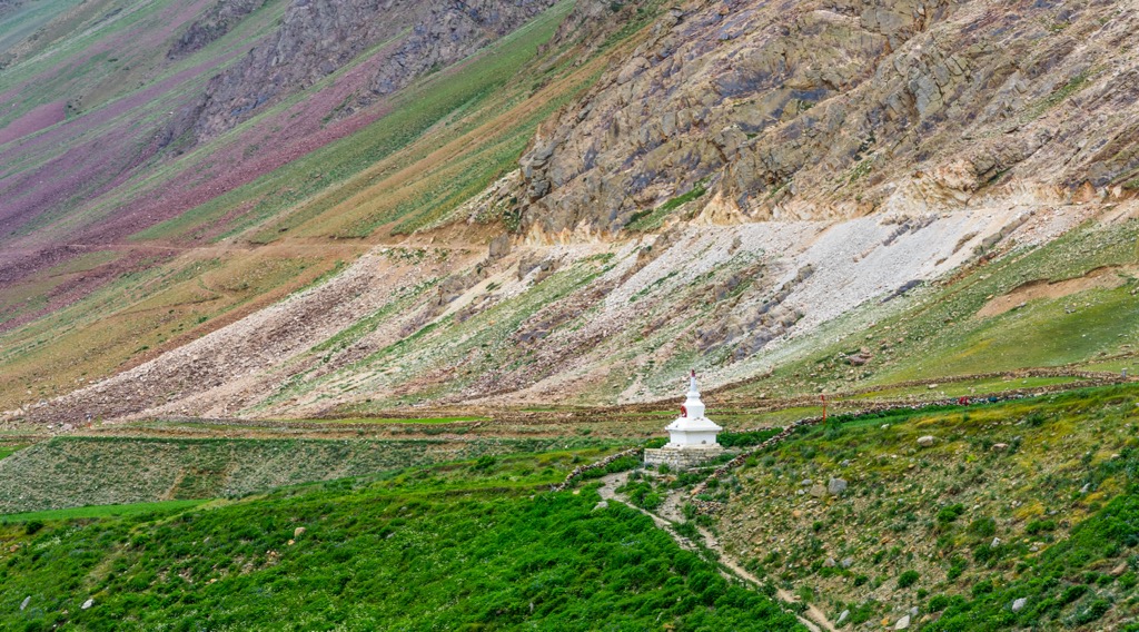 A Buddhist shrine, or Stupa, in Pin Valley National Park. Note the sparse vegetation typical of a cold desert environment. Pin Valley National Park