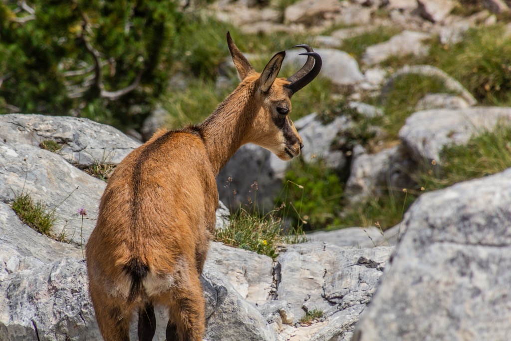Pindos Mountains, Greece