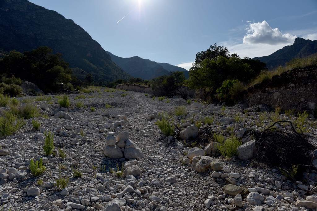 Pine Spring Canyon, Guadalupe Mountains National Park, Texas, United States