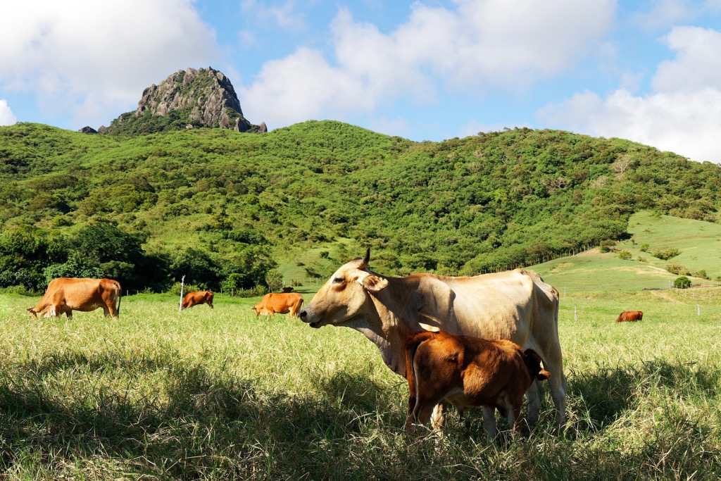 Pingtung County, Taiwan