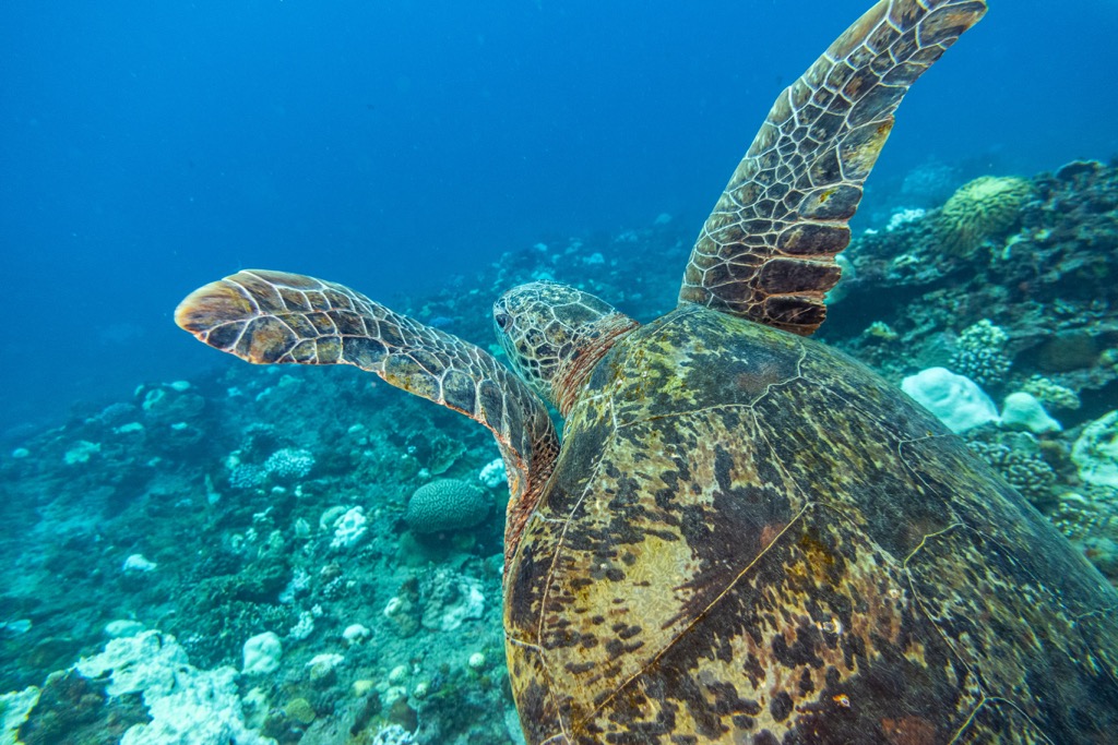 Pingtung County, Taiwan