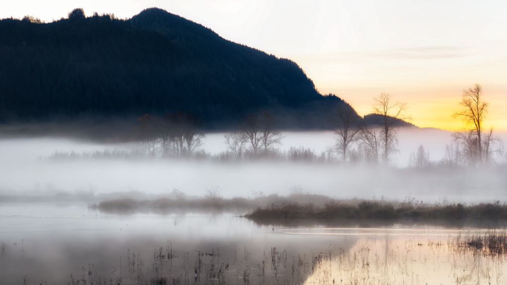 Pitt-Addington Marsh Wildlife Management Area, British Columbia