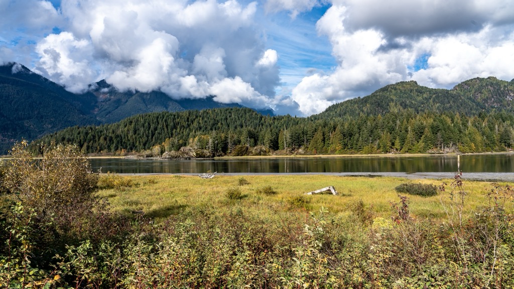 Pitt-Addington Marsh Wildlife Management Area, British Columbia