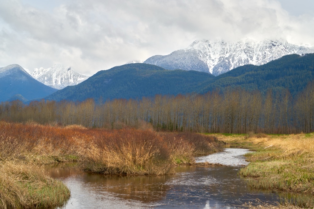 Pitt-Addington Marsh Wildlife Management Area, British Columbia