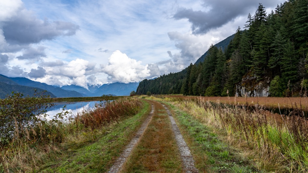 Pitt-Addington Marsh Wildlife Management Area, British Columbia