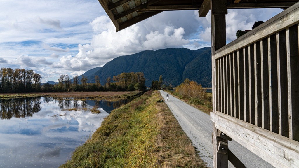 Pitt-Addington Marsh Wildlife Management Area, British Columbia