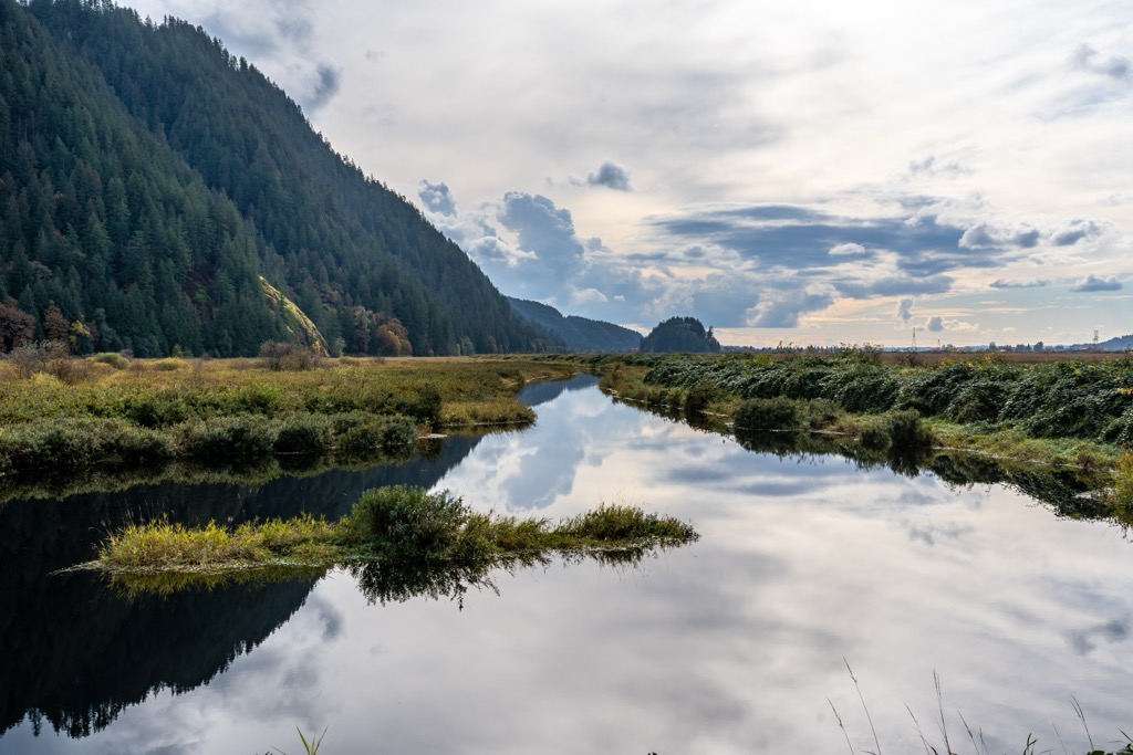 Pitt-Addington Marsh Wildlife Management Area, British Columbia