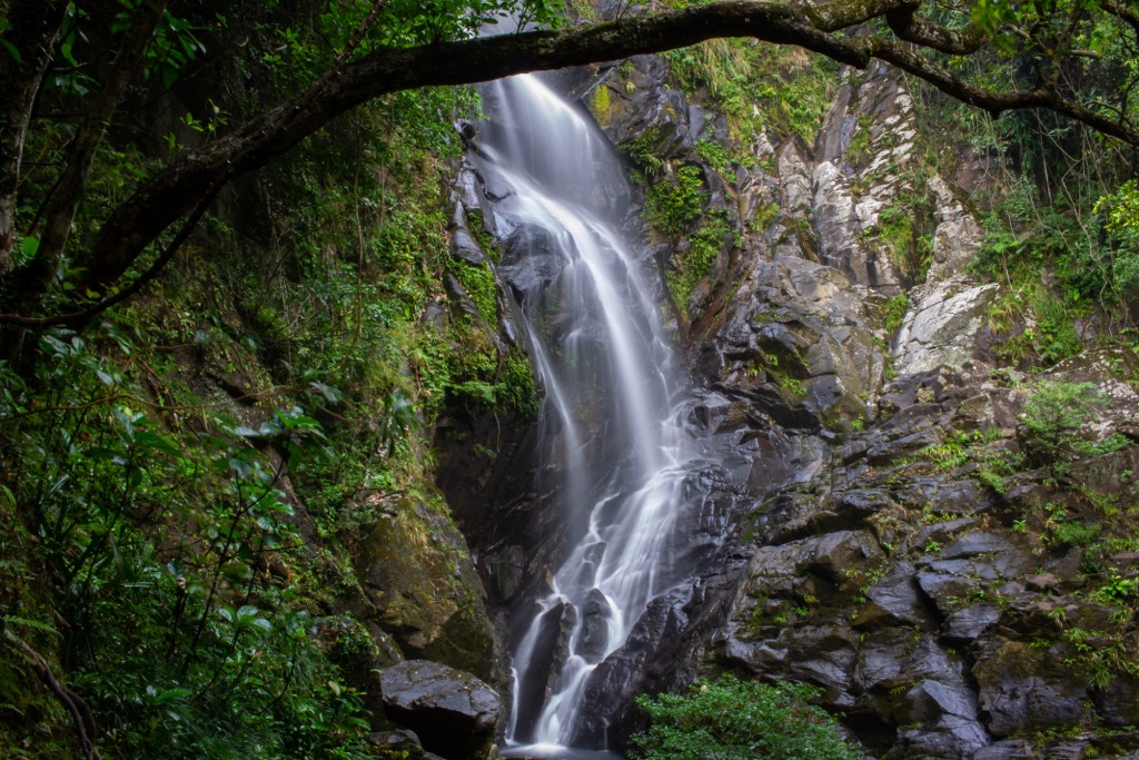 Plover Cove Country Park, Hong Kong