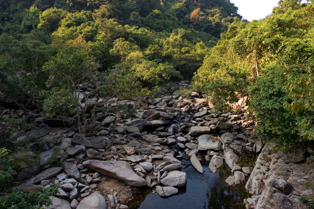 Plover Cove Country Park, Hong Kong