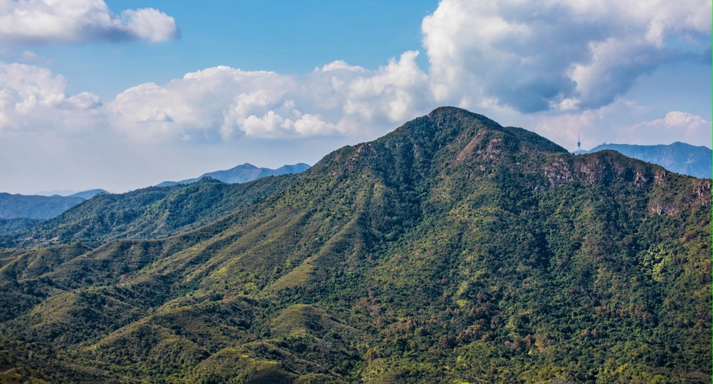 Plover Cove Country Park, Hong Kong