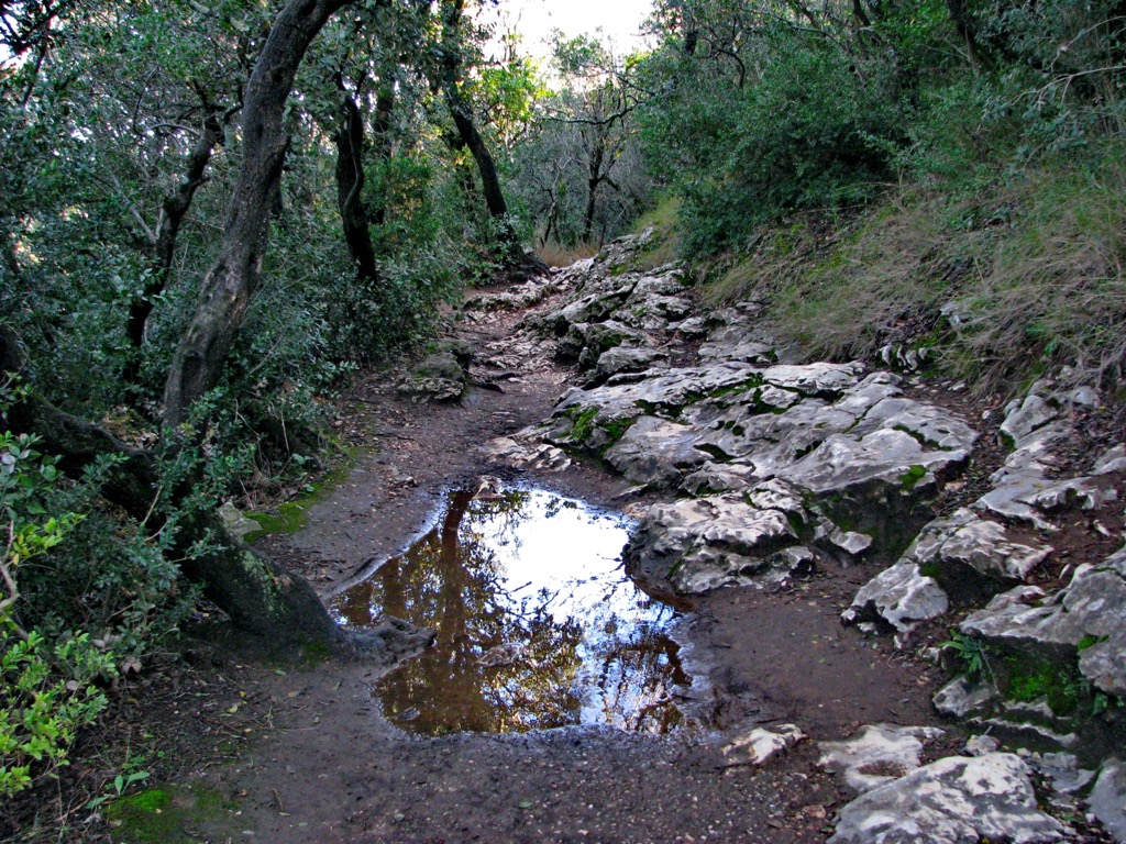 Pont du Gard, France