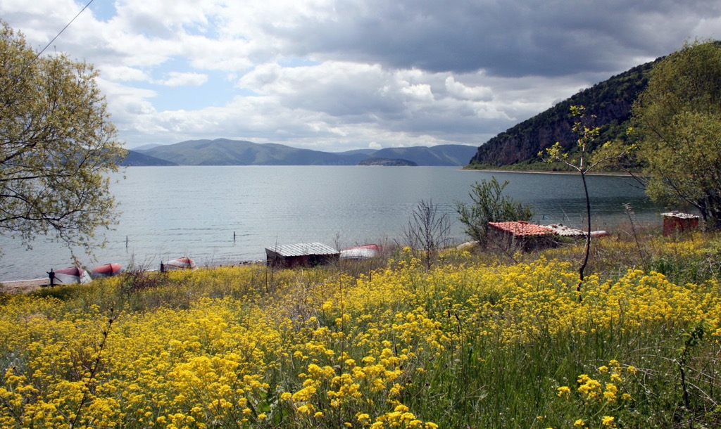 Prespa National Park, Albania