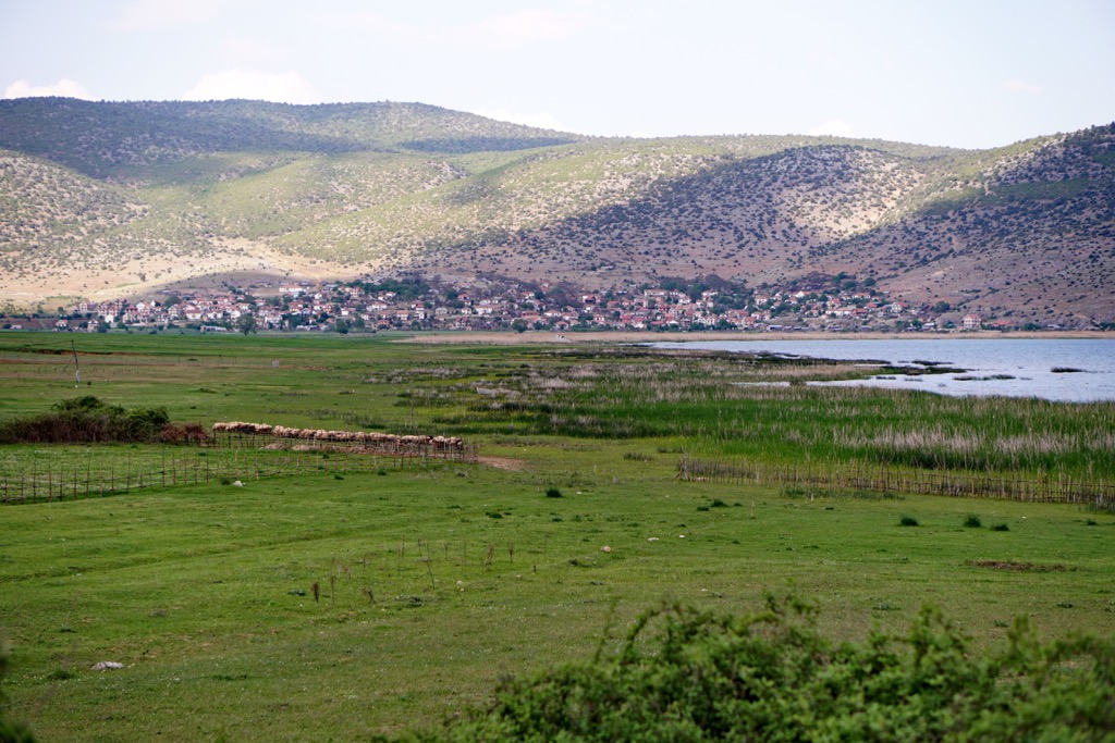 Prespa National Park, Albania