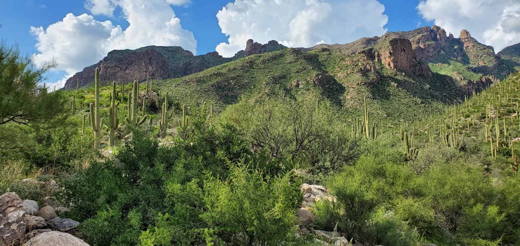 Finger Rock, Pusch Ridge Wilderness, Arizona