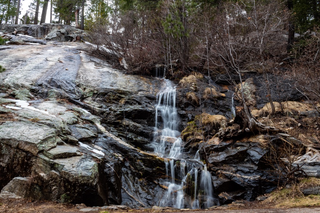 Pusch Ridge Wilderness, Arizona