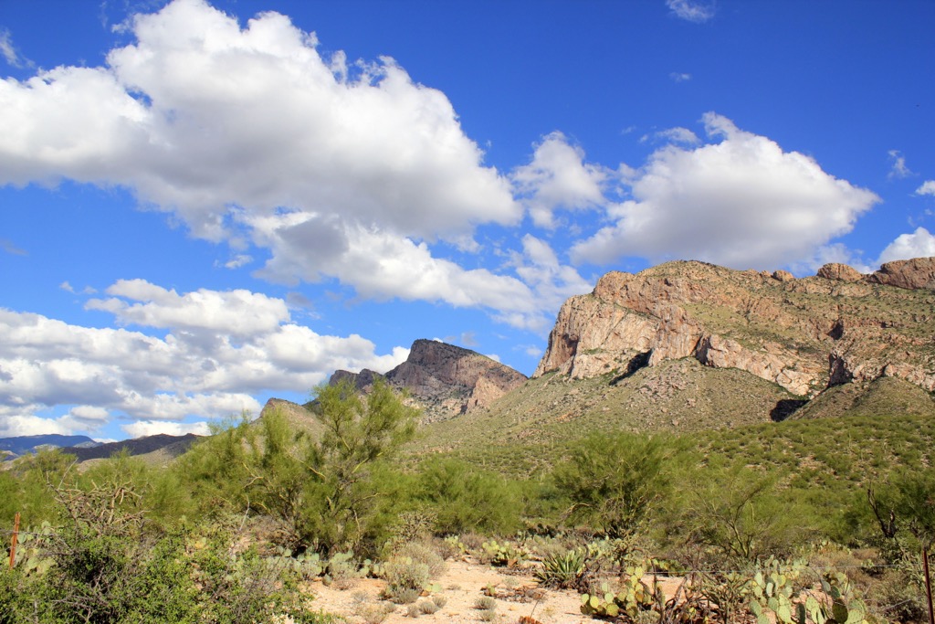 Pusch Ridge Wilderness, Arizona