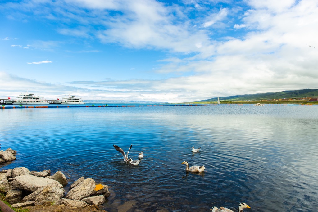 Qinghai, Tibet, China