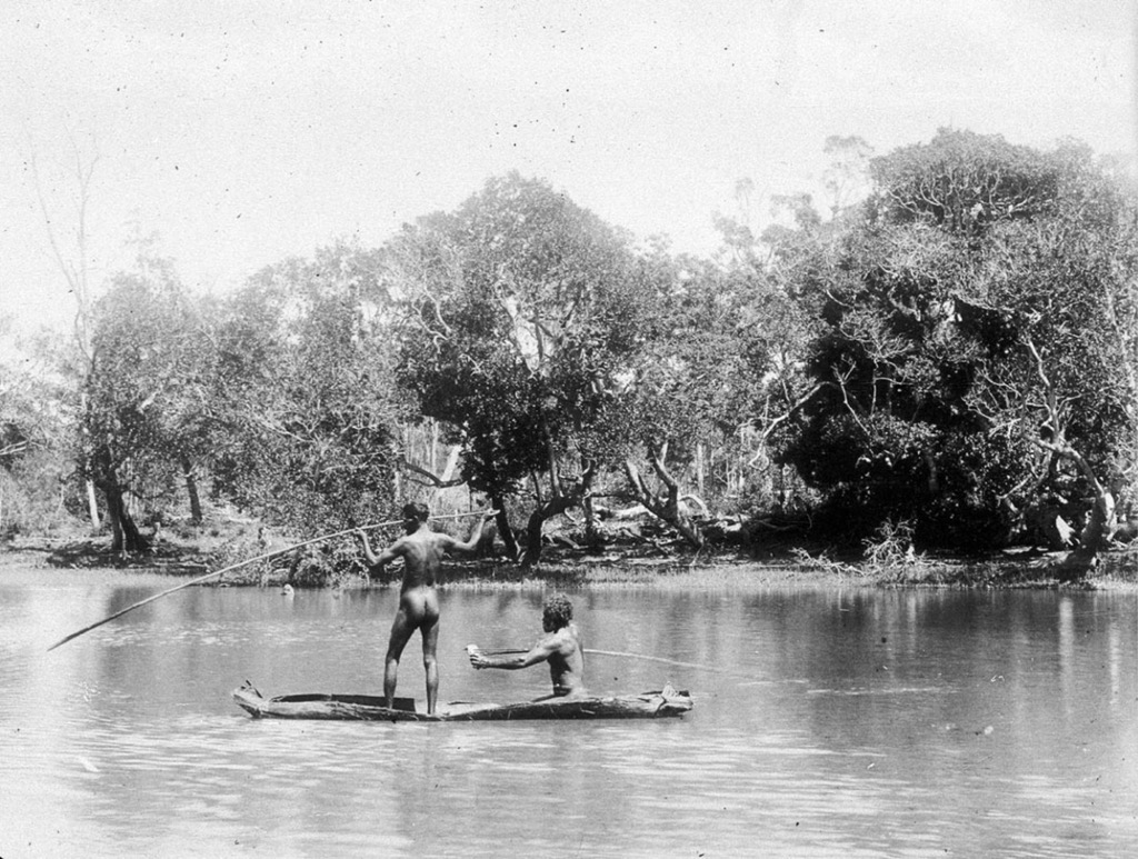 Aboriginal men spearfishing in 1905. Queensland