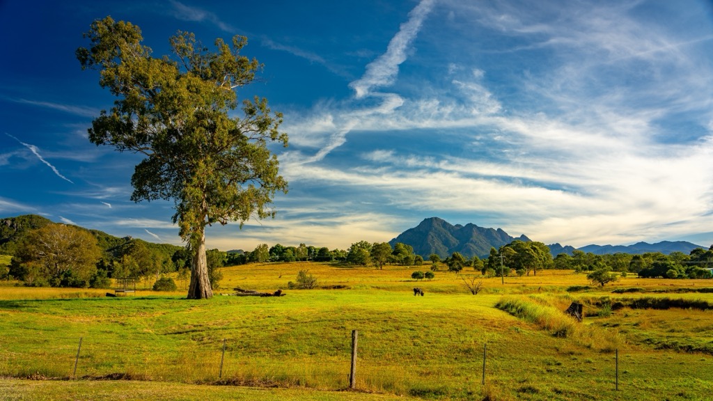 Pastureland near the edge of Mount Barney National Park, QLD, Australia. Queensland