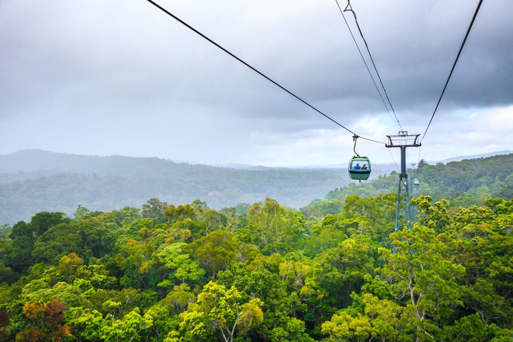 The Skyrail Cable Car. Queensland