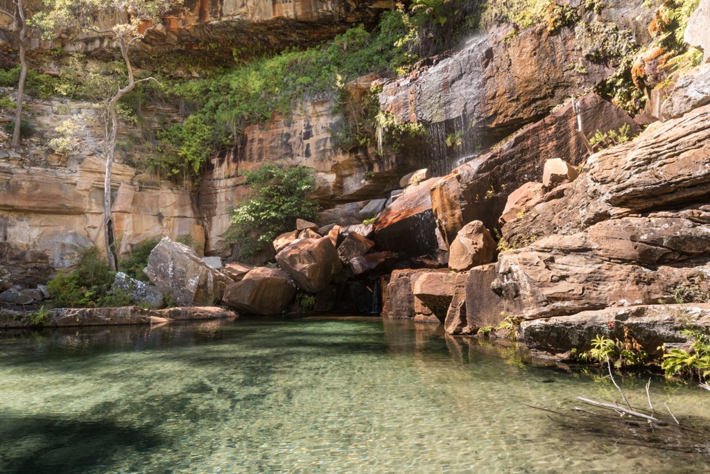 Blackdown Tablelands National Park. Queensland