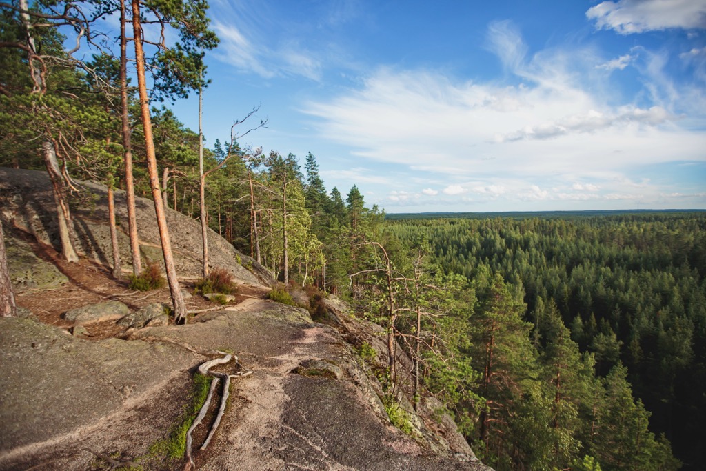 Repovesi National Park