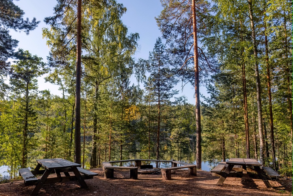 Repovesi National Park, Finland