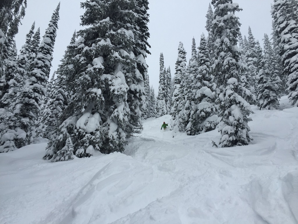 I think this was under the Ripper…it all kind of looks the same. Photo: Sergei Poljak. Revelstoke