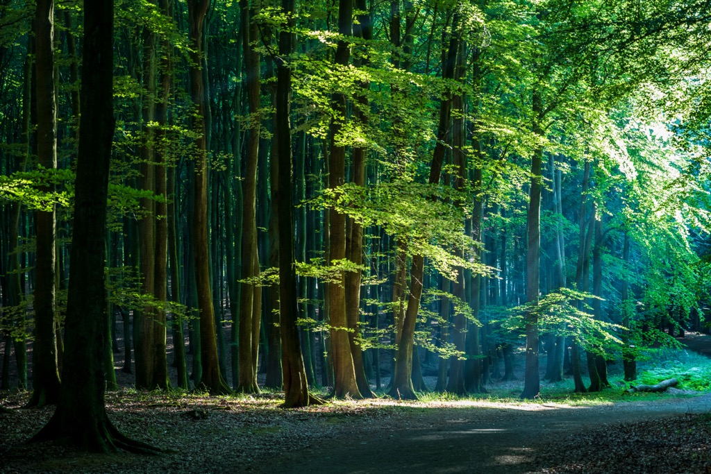 Rezervati Natyror Lumi Gashit, Albanian Alps