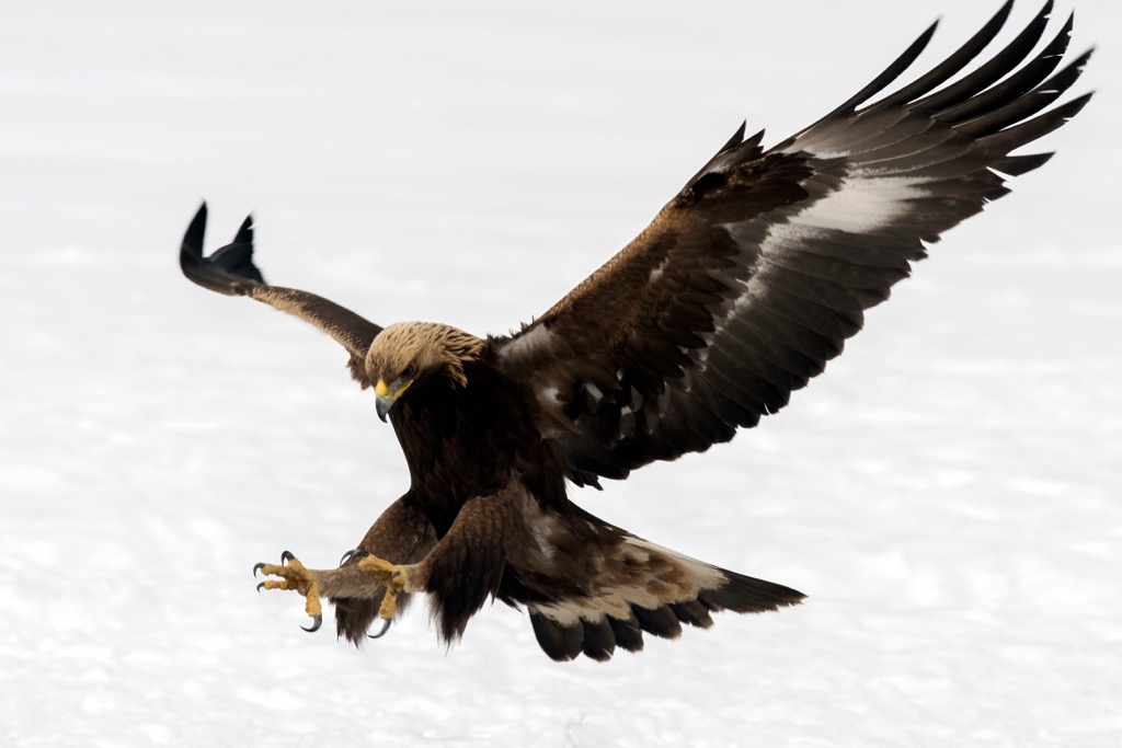 High Tauern at Rieserferner-Ahrn Nature Park, Italy