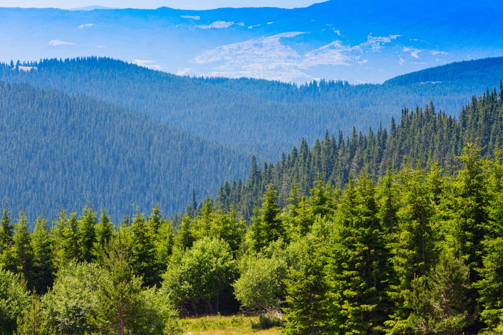Rila Monastery Natural Park, Bulgaria