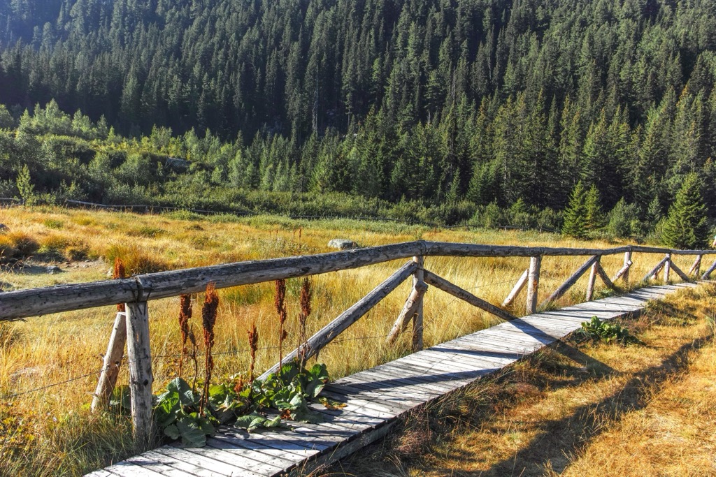 The trail along the Tiha Rila. Rila Monastery